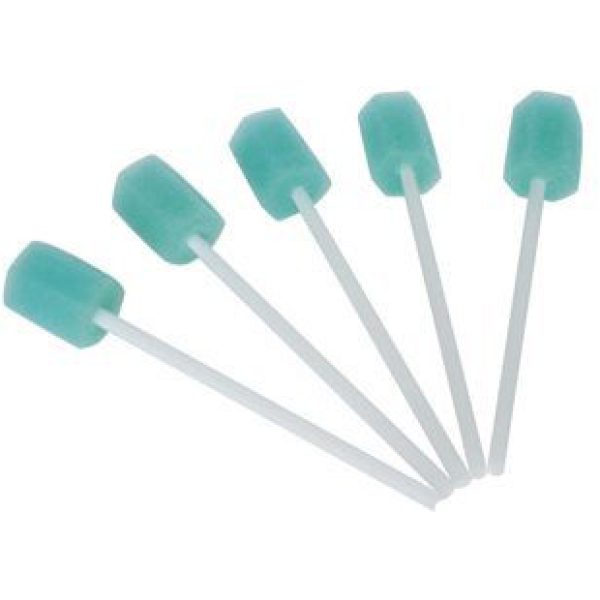 inactFoam Mouth Swab X 5