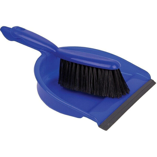 Professional Dustpan & Brush Set BLUE Plastic 22x32x10CM