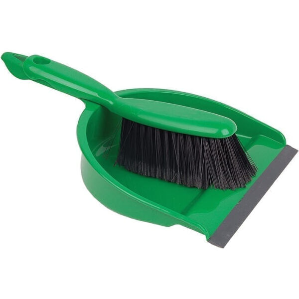 Professional Dustpan & Brush Set GREEN Plastic 22x32x10CM