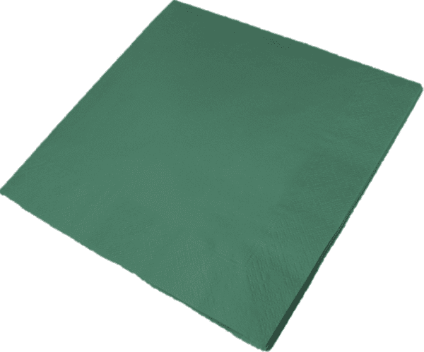 Napkin 2 Ply MOUNTAIN PINE 33CM 20 X 100