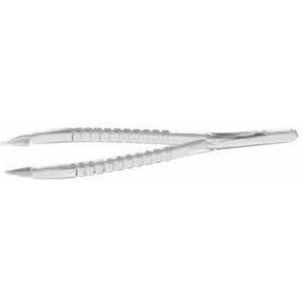 Forceps Disposable Sterile Clear X 50